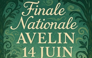Tournoi du 14 Juin à Avelin (Mérignies)