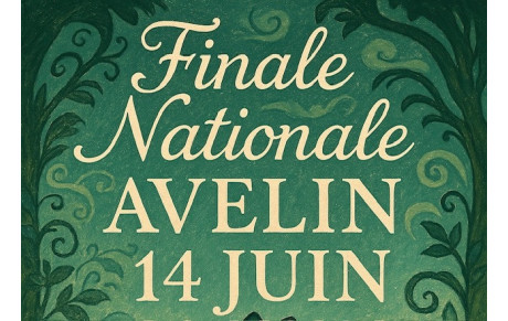 Tournoi du 14 Juin à Avelin (Mérignies)